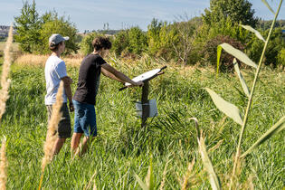 Disappearing Landscape Nature Trail Rosice Ostrovačice