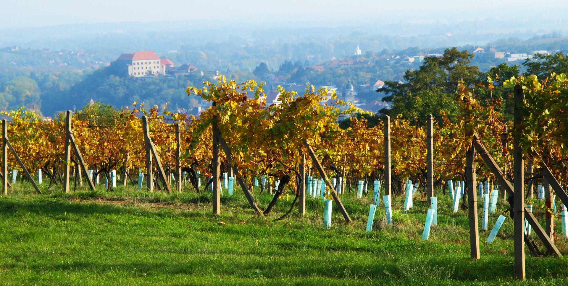 Brněnsko Go from Brno Kounicko a Ivančicko Dolní KOunice